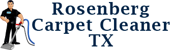 logo Rosenberg Carpet Cleaner TX